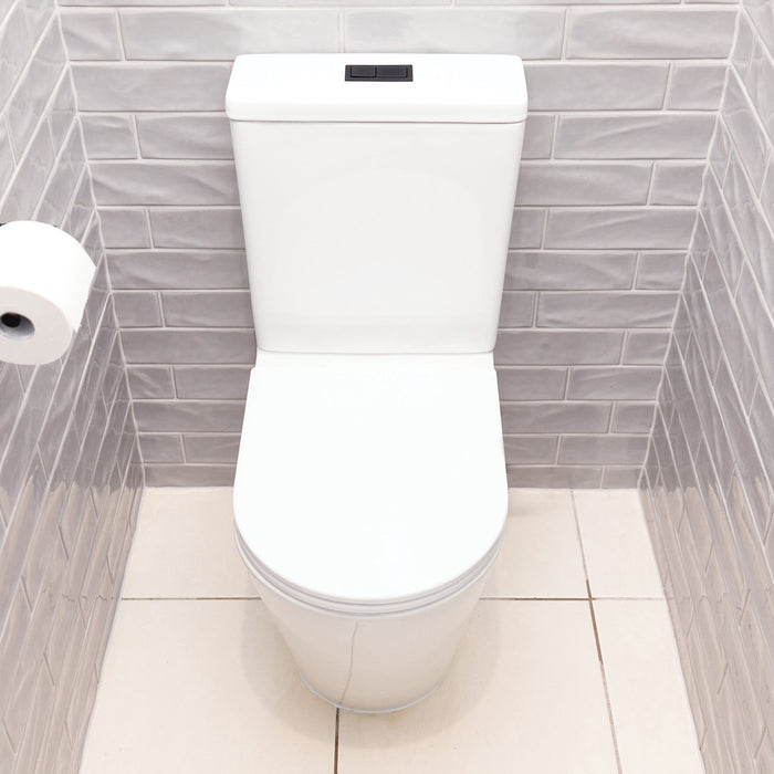 620*385*840mm Fienza Aluca Gloss White Tornado Soft Close Seat Back To Wall Toilet